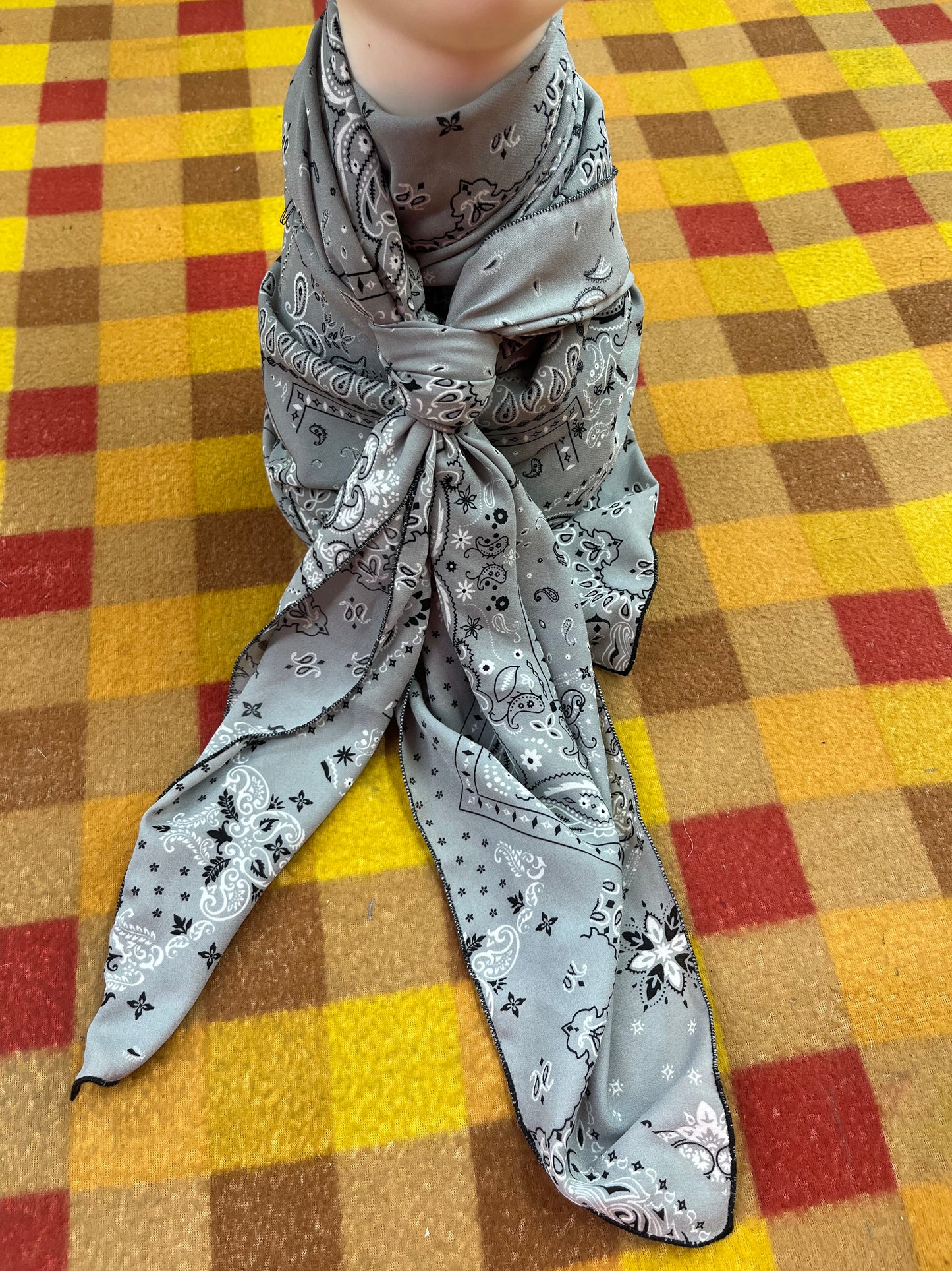 Wild Rag 45x45 silver bandanna paisley