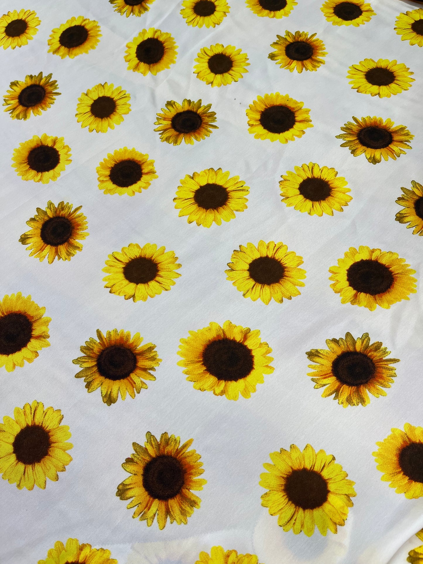WildRag 45x45 white sunflower