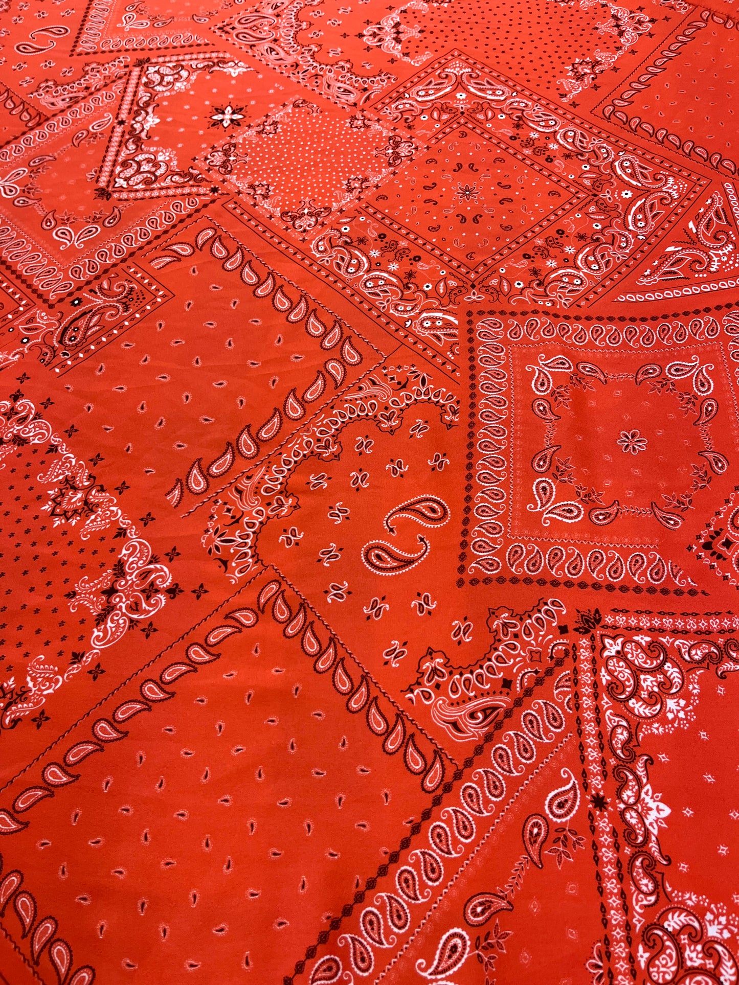 Wild Rag 45x45 red bandanna paisley