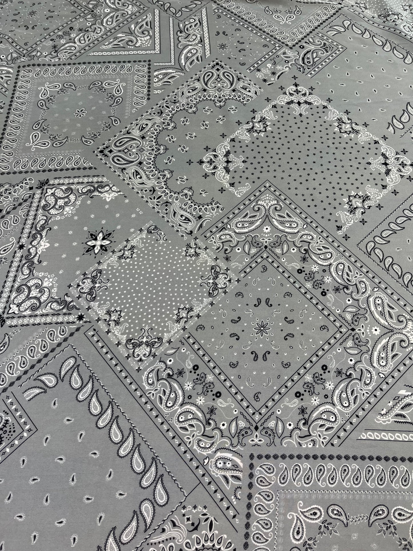 Wild Rag 45x45 silver bandanna paisley