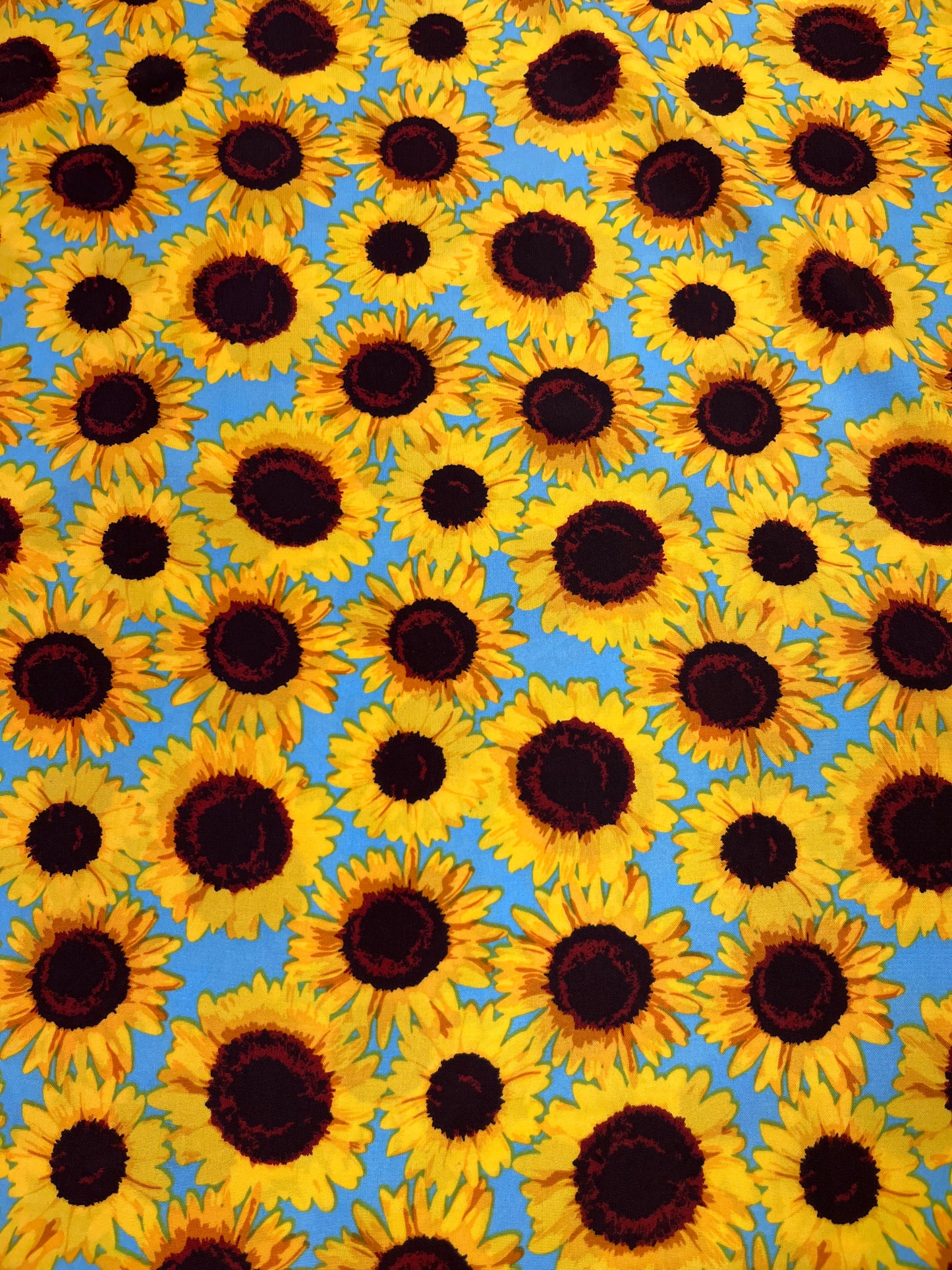 Wild Rag 45x45 blue background sunflower