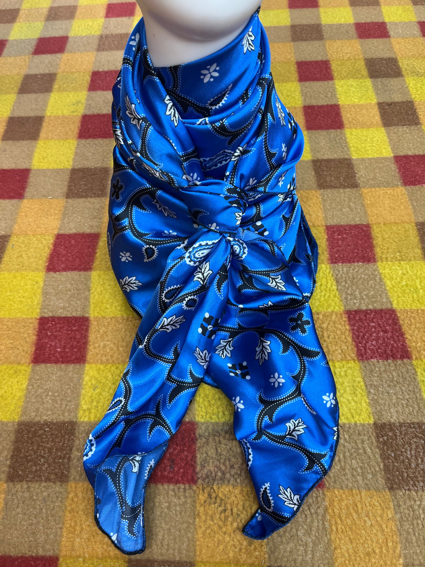 Wild Rag 45x45 blue thistle/paisley