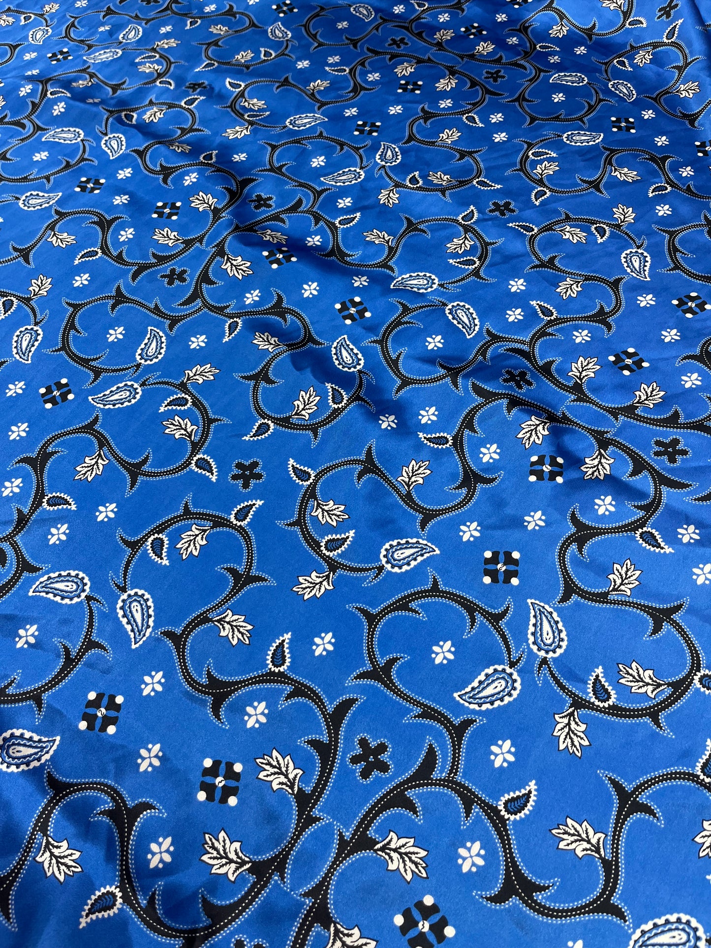 Wild Rag 45x45 blue thistle/paisley