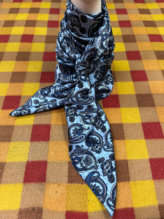 Wild Rag 45x45 blue paisley