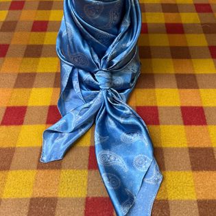 45x45 Wild Rag baby blue/ paisley