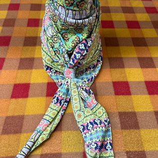 45x45 Wild Rag pink/green paisley square