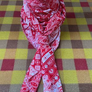 45x45 Wild Rag red/white paisley bandanna