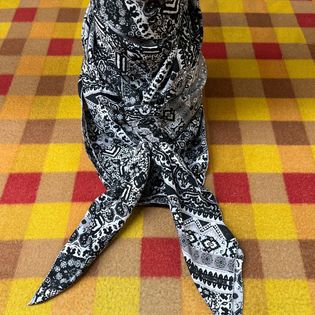 45x45 Wild Rag black/white bandanna tribal